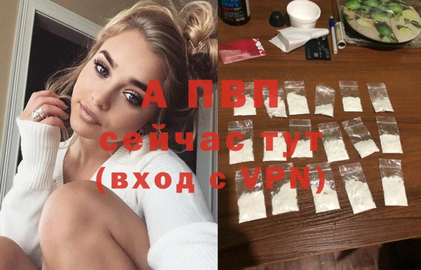 ГАЛЛЮЦИНОГЕННЫЕ ГРИБЫ Беломорск
