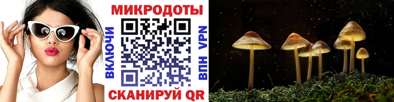 Псилоцибиновые грибы прущие грибы  продажа наркотиков  Котельники 